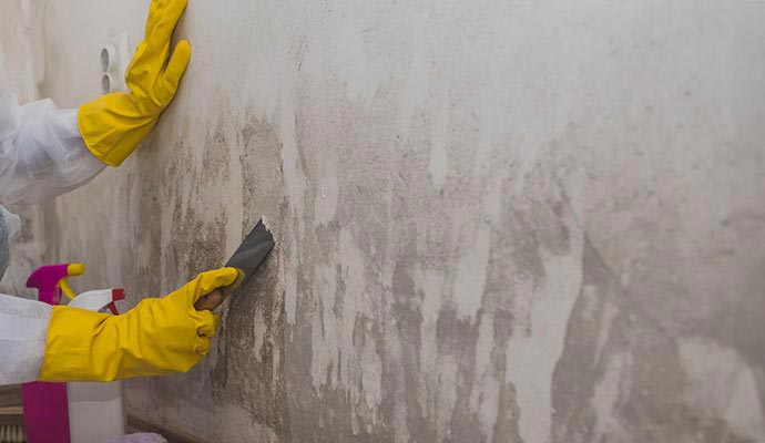 A professional scraping mold from the wall