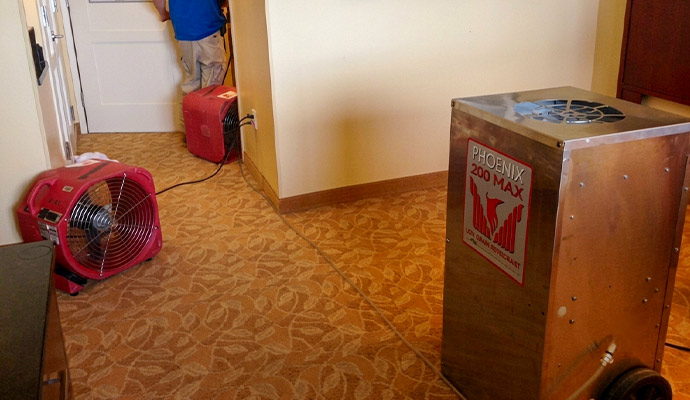 Dehumidifier and air movers drying room