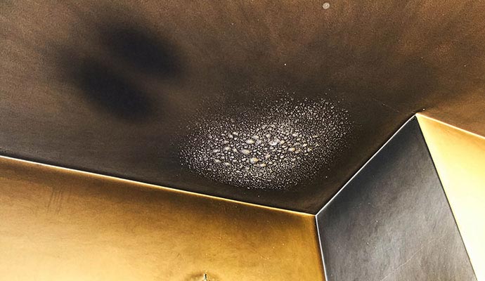 Fire and smoke damaged ceiling