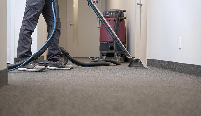 Professional carpet cleaning service