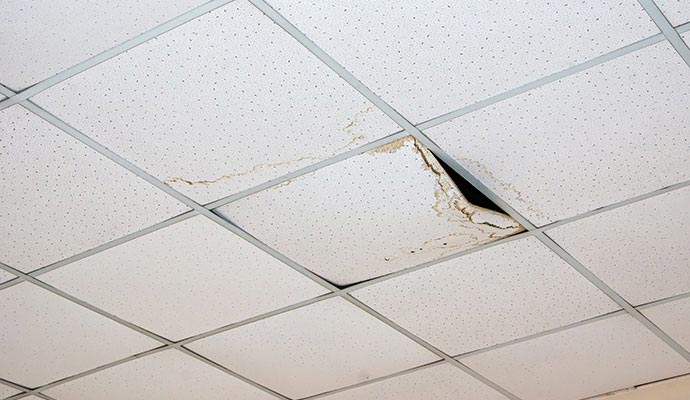 Water damaged office ceiling