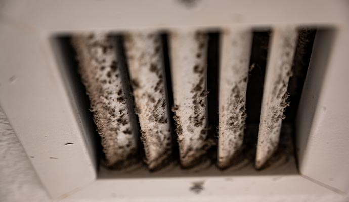Moldy air vent