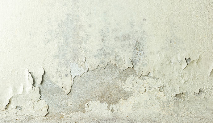 Severe paint peeling and mold growth on a moisture-damaged interior wall