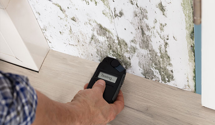 Person testing mold using device