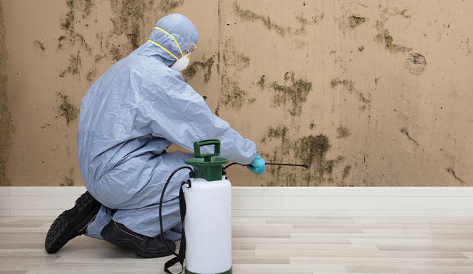 A person in protective gear spraying a mold-infested wall with a professional remediation solution