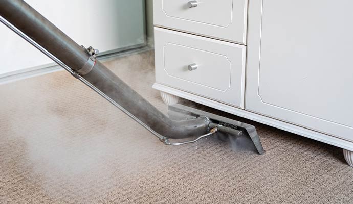 Professional carpet drying service by 