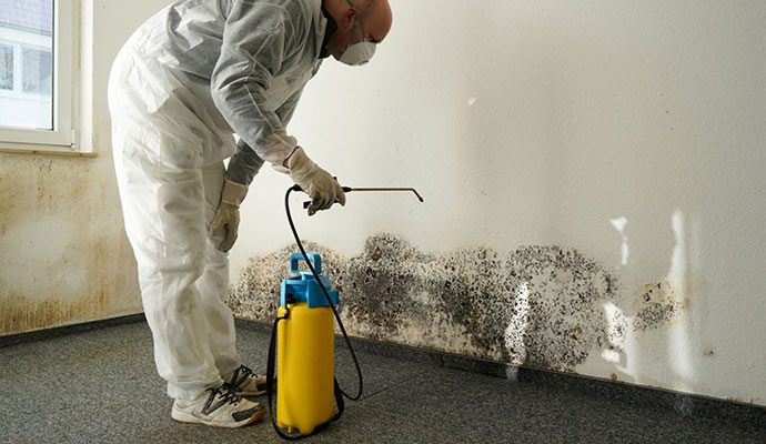 Professional mold remediation service wall