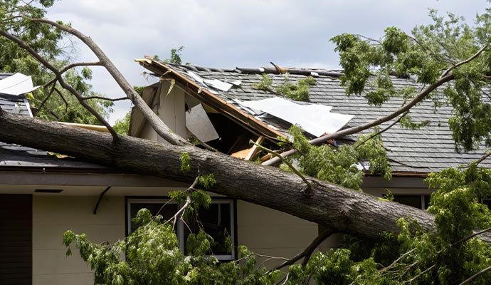 A large tree trunk crushing the roof of a house after a severe storm