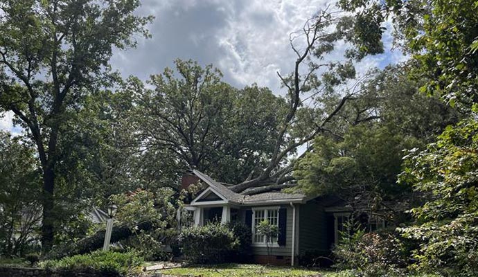 A large tree crushing the roof of a house during hurricane