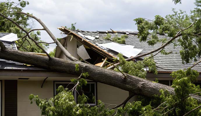 Tree fell on house roof due to wind