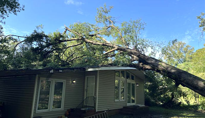 Wind Damage Restoration in Charlotte