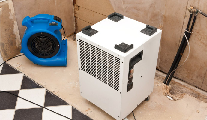 Air mover and dehumidifier