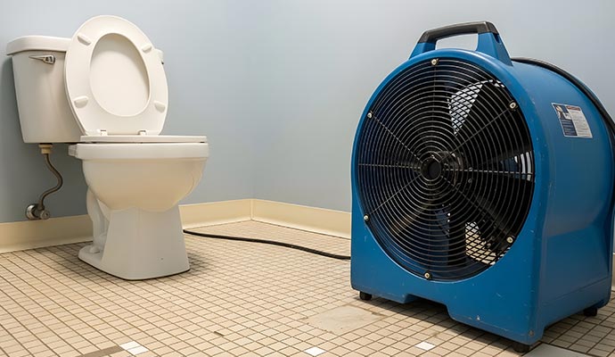 Air mover in the toilet for water extraction service