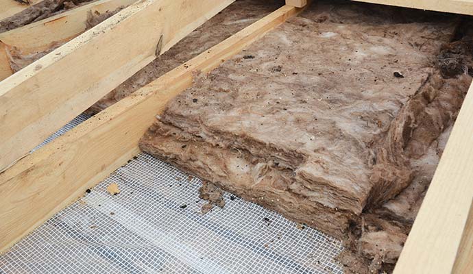 Damaged attic insulation