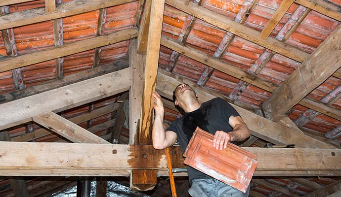 Attic Water Damage Restoration in Charlotte
