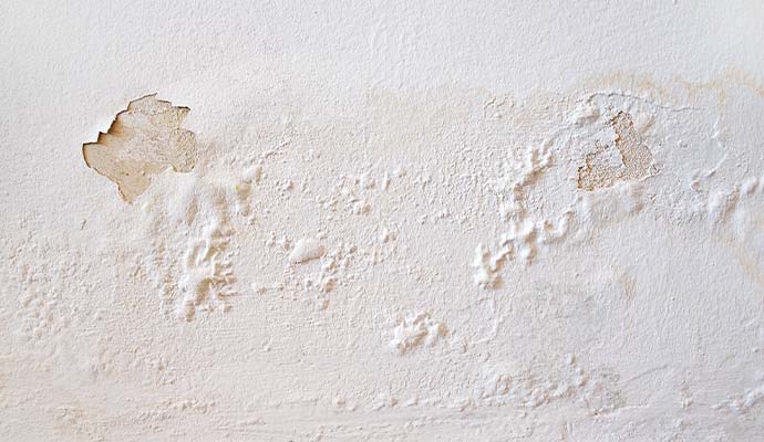 Peeling and bubbling paint from a structural water damaged wall