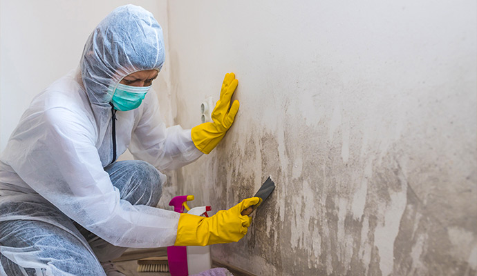 Technician scraping mold from wall
