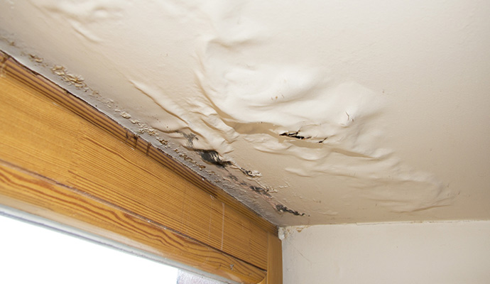 Water damaged ceiling with bubbling paint