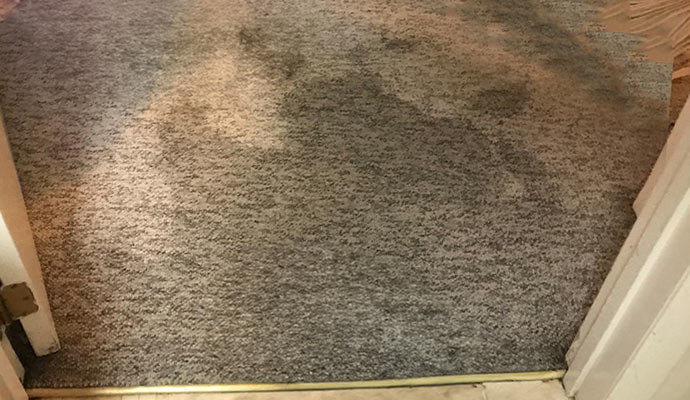 Water damaged carpet